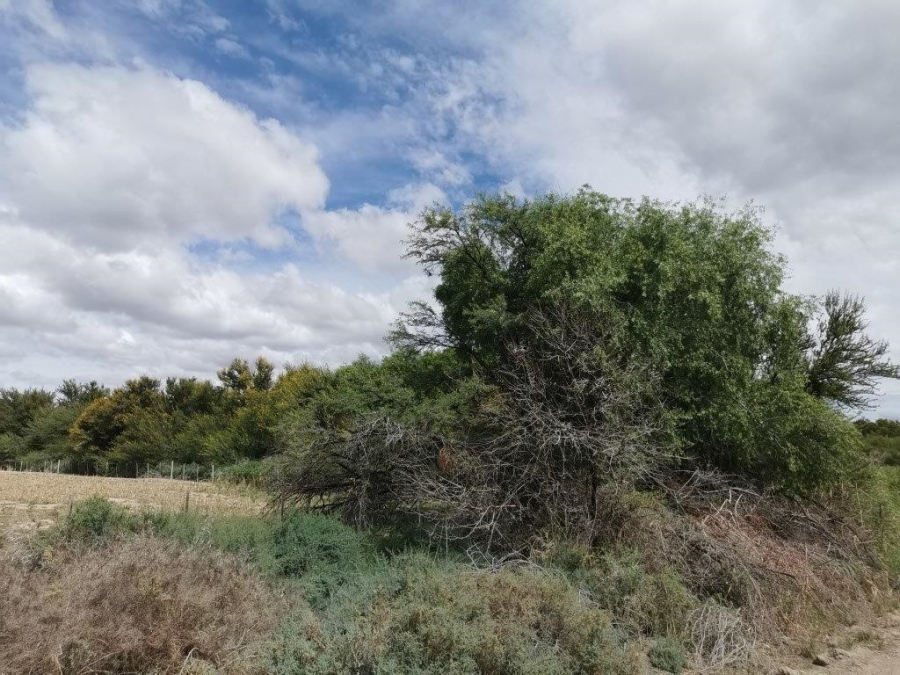 0 Bedroom Property for Sale in Beaufort West Rural Western Cape